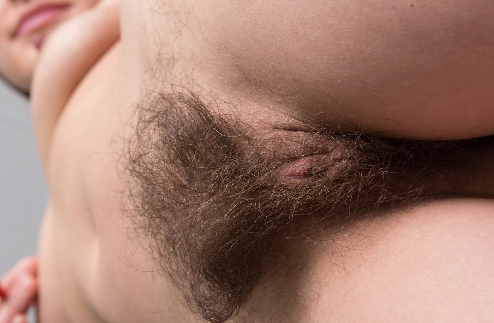 волосатая вагина волосатый лобок фото 25
