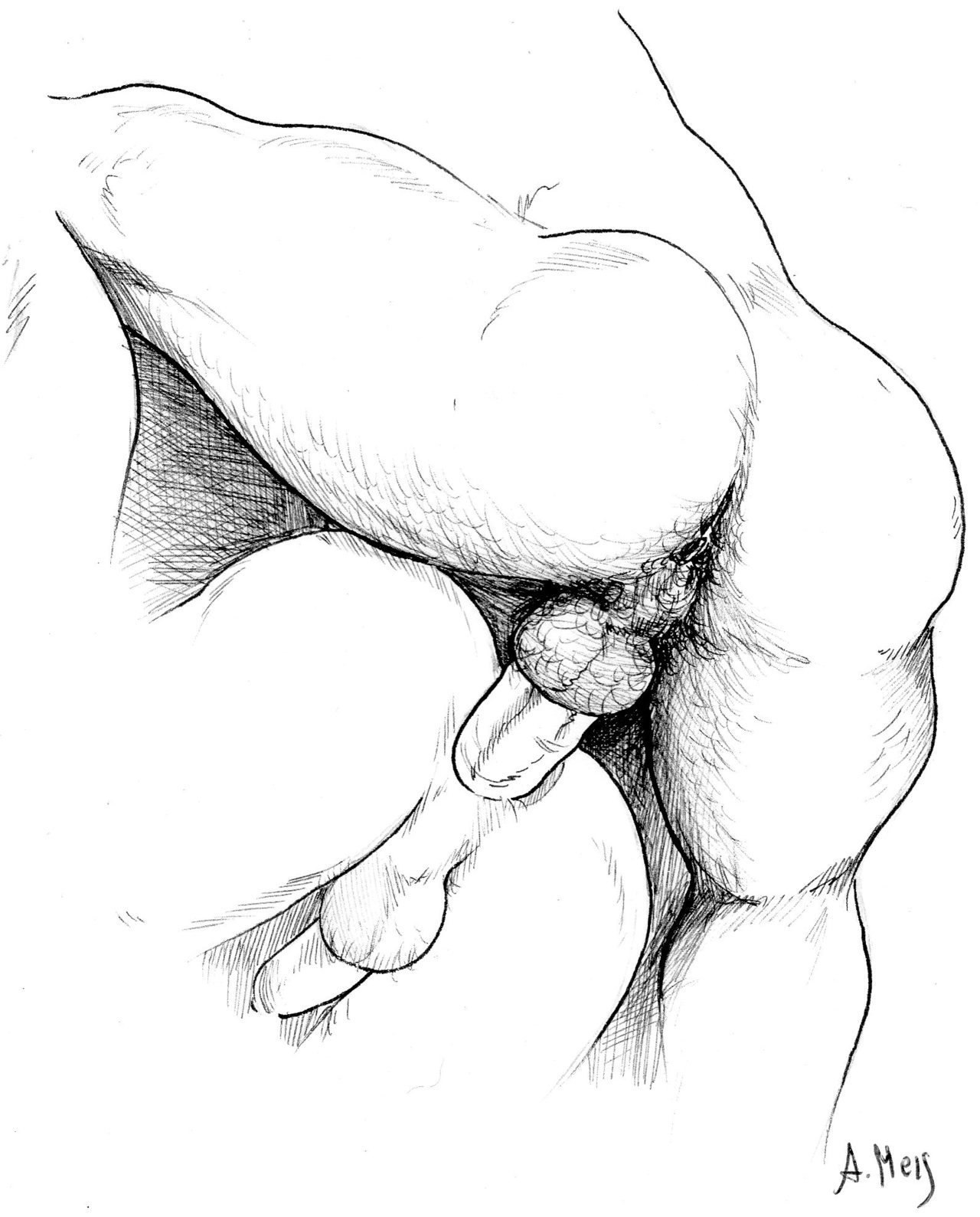Порно рисунки анального секса фото 40