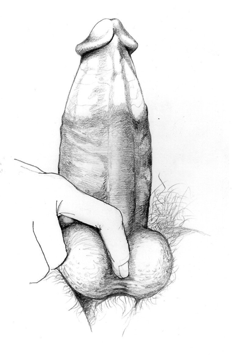 Pencil cock