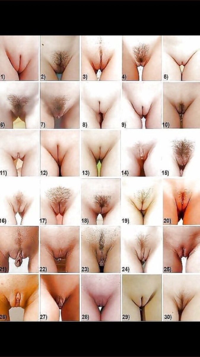 Фото разновидности женских вагин порно видео