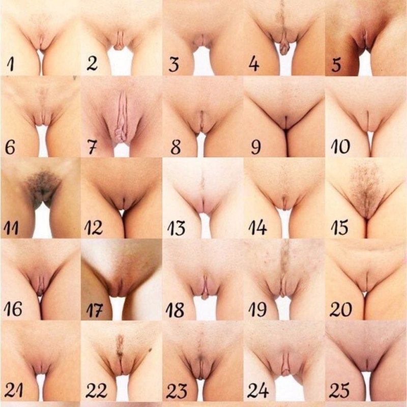 Разновидности вагин порно (61 фото)