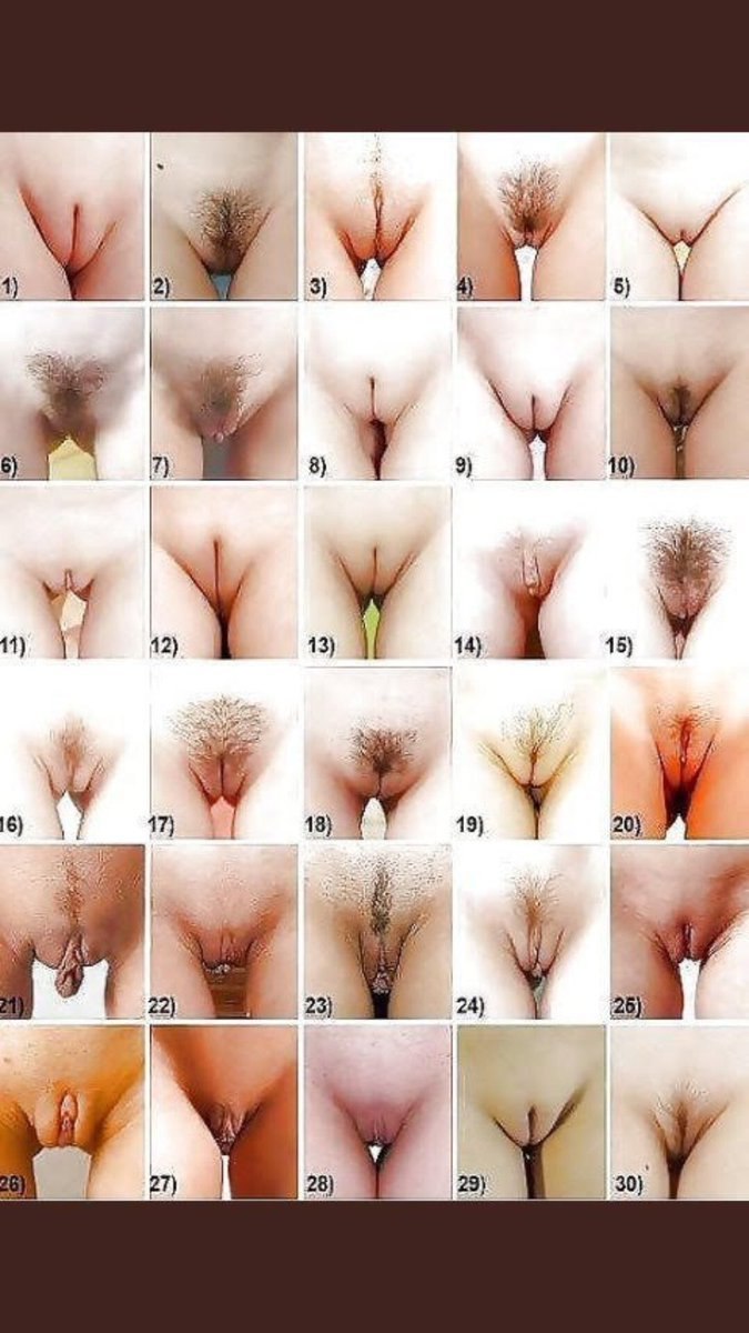 Какие бывают женские письки (58 фото) - секс и порно поддоноптом.рф