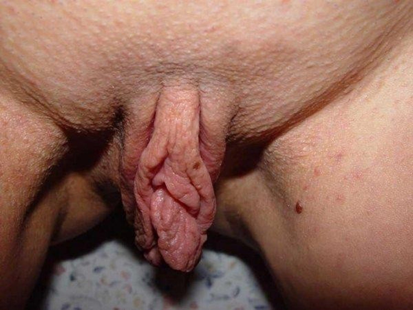 Эротические женских половых органов (81 фото)