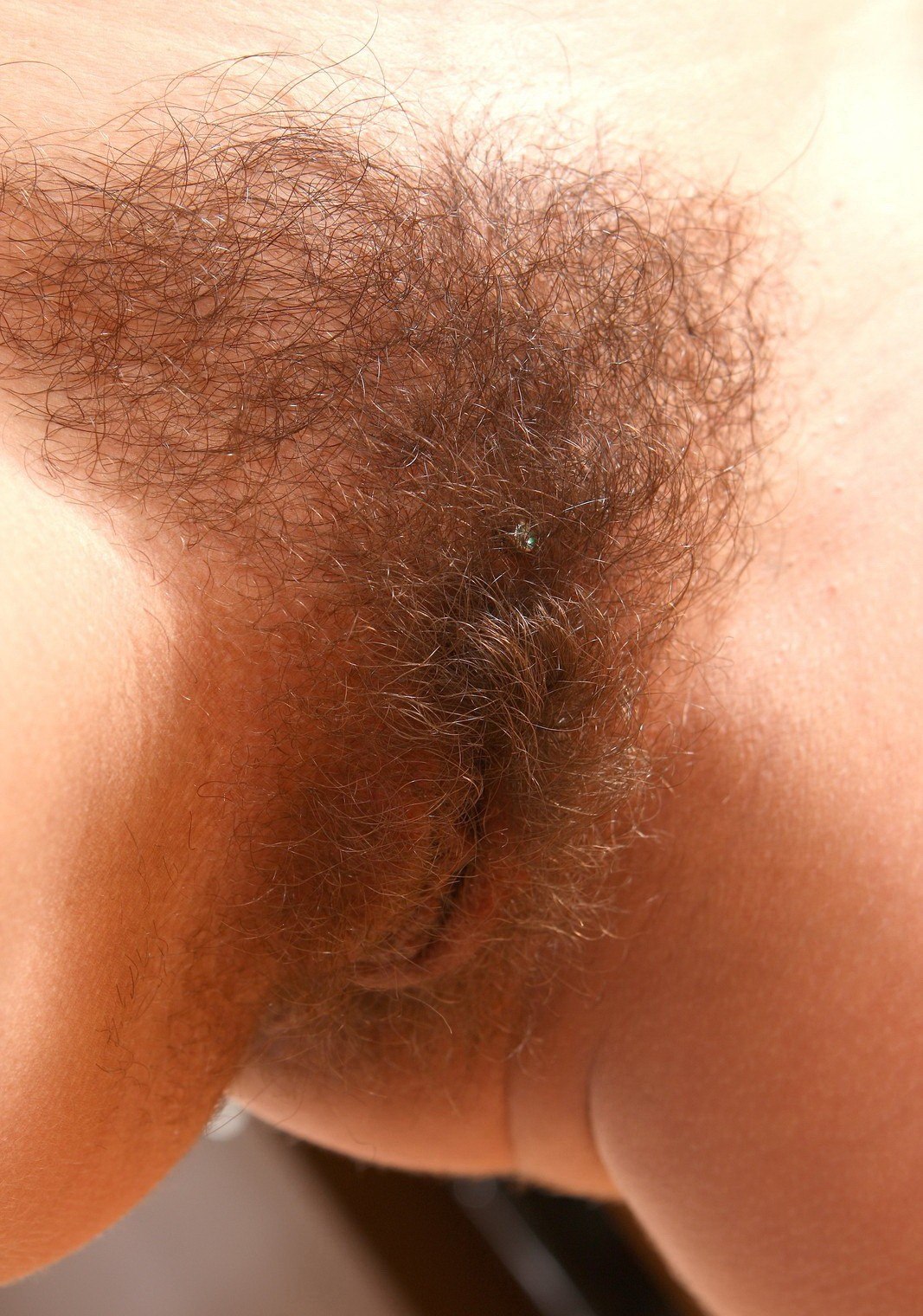 самый волосатый женский лобок фото 109