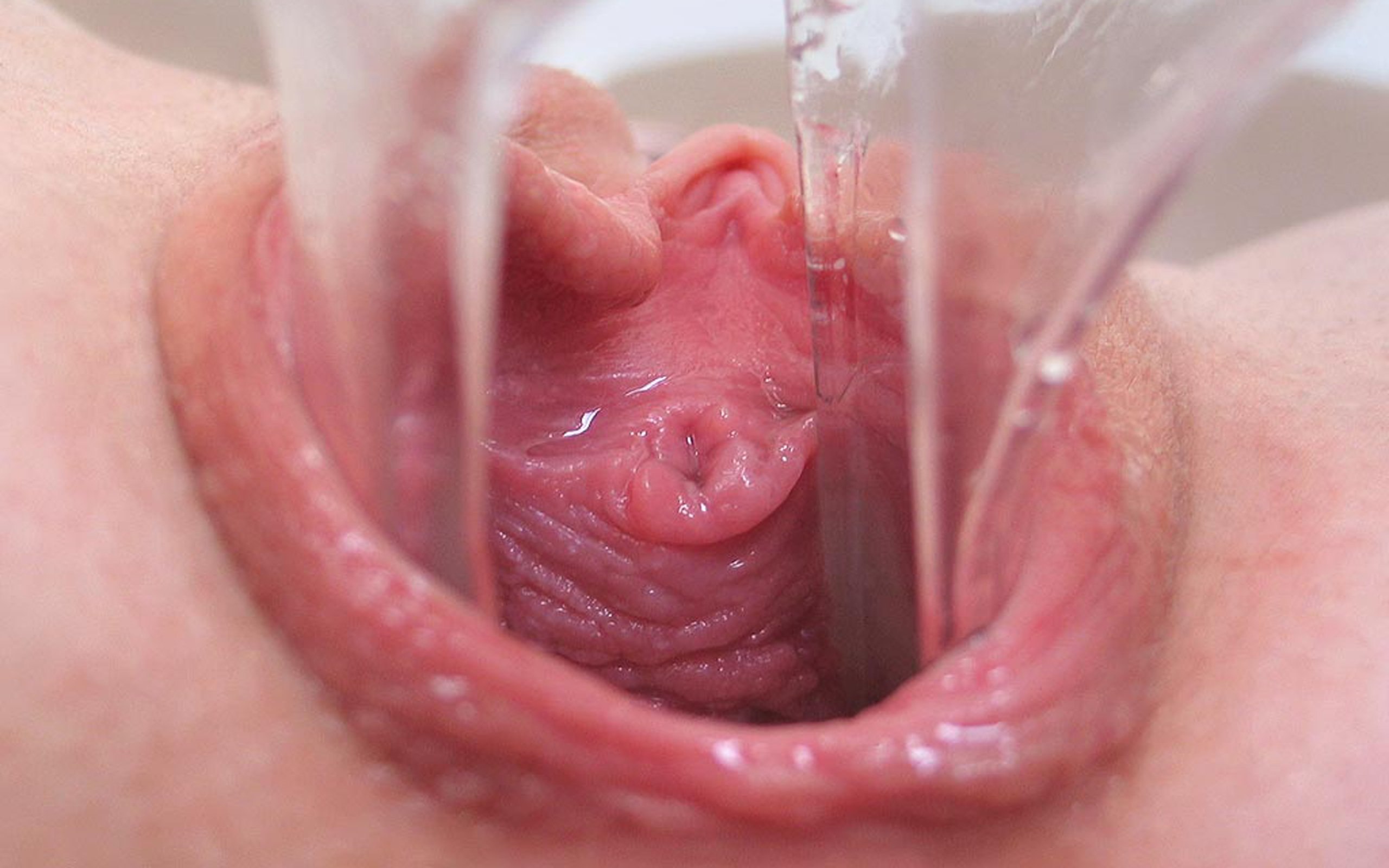 вагина из внутри порно фото 62