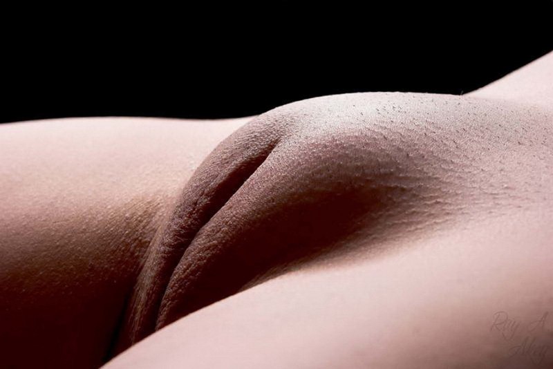 Красивые женщины с бритыми лобками