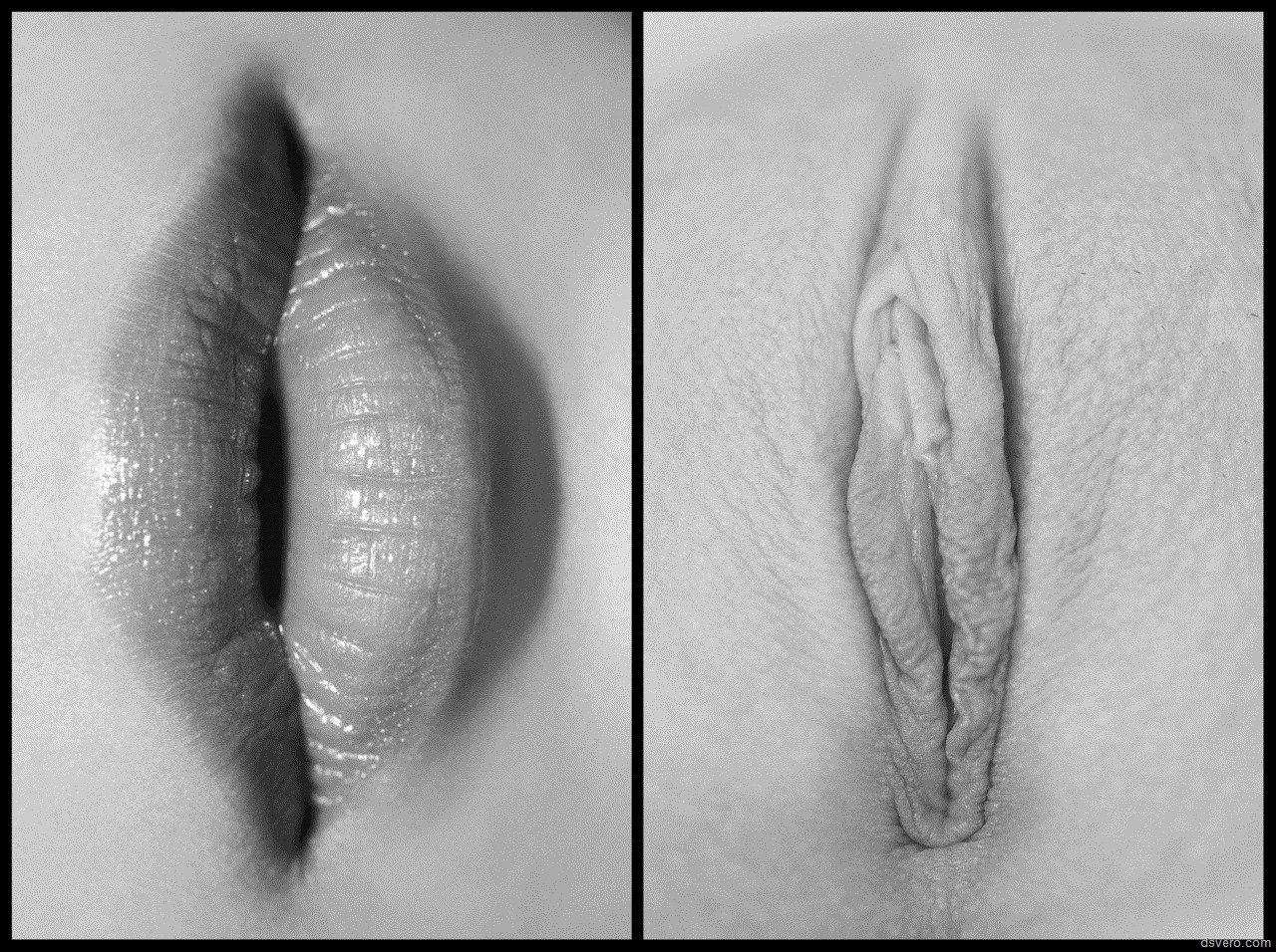 Besos en vagina