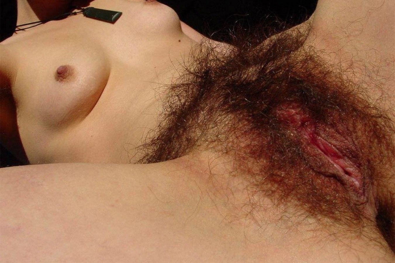 самый волосатый лобок женщины фото 114