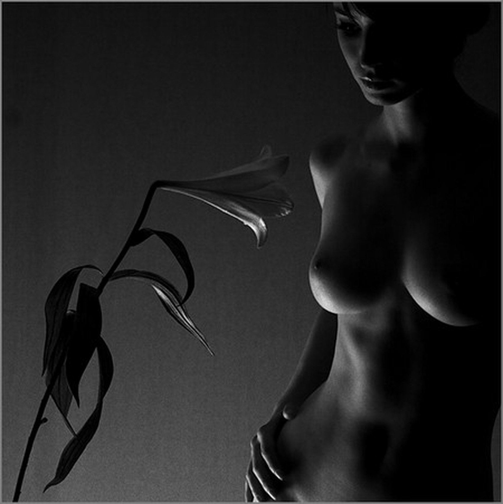 черно белая художественная эротика фото 105